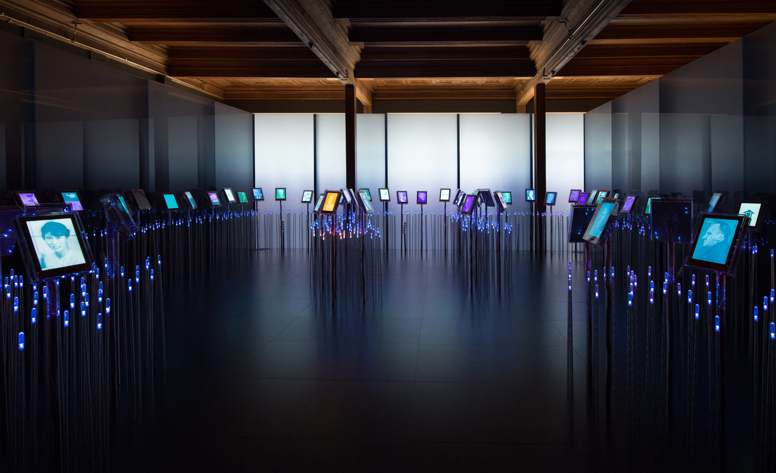 A wide-angle view of the nobel field